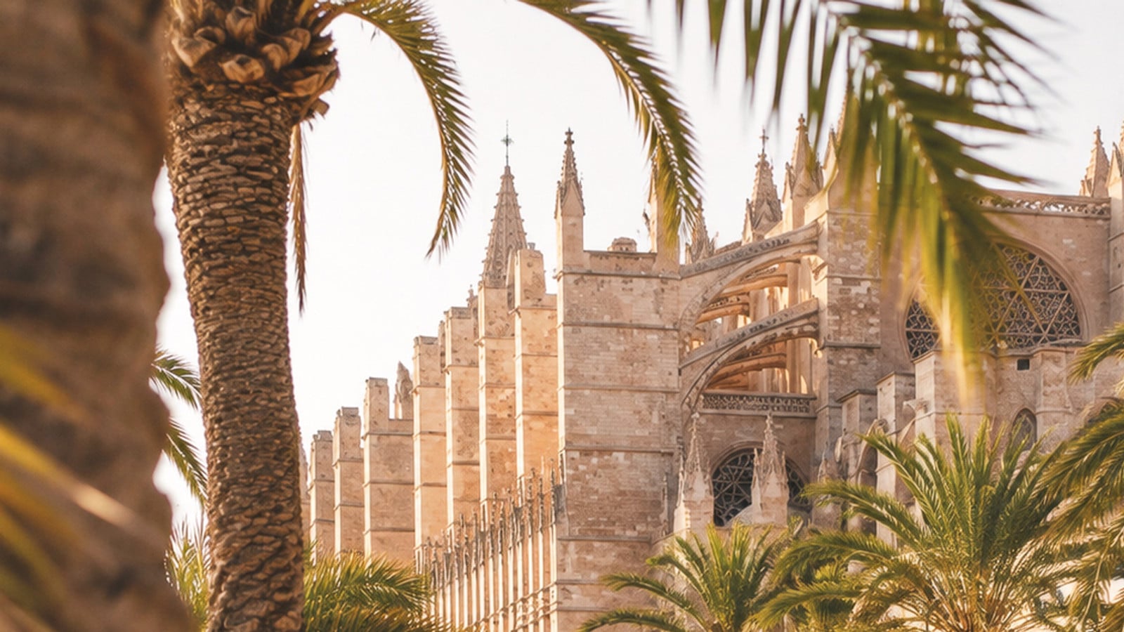 14-discovering-palma A day in Palma